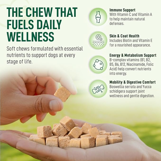 14 in 1- Multivitamin for Dogs 120 Chews - Daily Support for Active & Aging Dogs Supplies/Vitamin A, D3, E, C, and B-Complex for Joint, Skin, Coat, Immune - Dog Multivitamin, Bacon