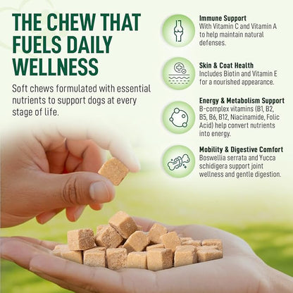 14 in 1- Multivitamin for Dogs 120 Chews - Daily Support for Active & Aging Dogs Supplies/Vitamin A, D3, E, C, and B-Complex for Joint, Skin, Coat, Immune - Dog Multivitamin, Bacon
