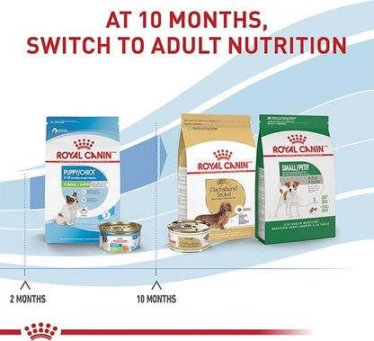 Royal Canin Size Health Nutrition X-Small Puppy Thin Slices in Gravy Dog Food, 3 oz (Pack of 24)