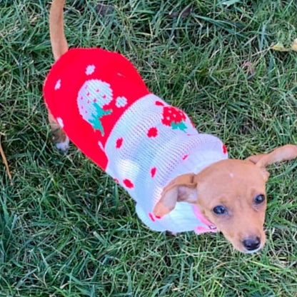 CHBORCHICEN Pet Dog Sweaters Classic Knitwear Turtleneck Winter Warm Puppy Clothing Cute Strawberry and Heart Doggie Sweater (Red1, XX-Small)