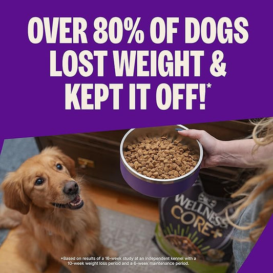 Wellness CORE+ Healthy Weight Adult Dry Dog Food with Freeze Dried Pieces, Grain Free Kibble+, Natural, High Protein, Turkey and Chicken Recipe, 18 lb Bag