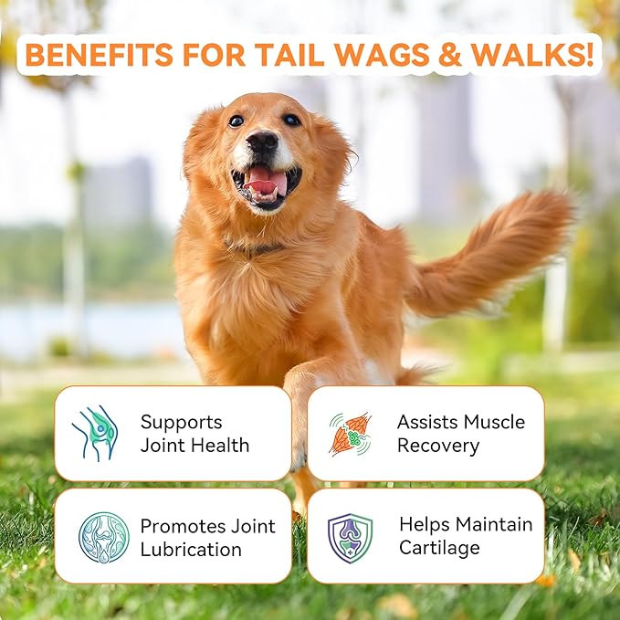 PUAINTA Hip & Joint Soft Chews for Dogs & Cats – Glucosamine, Chondroitin, Collagen & MSM for Joint Support, Mobility & Flexibility, Senior & Small/Medium Breeds, Chicken Flavor (30 Count)