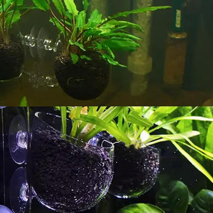 WHJY Transparent Glass Round Aquarium Suction Cups - Plant Holder, Fish Tank Decor - Set of 4