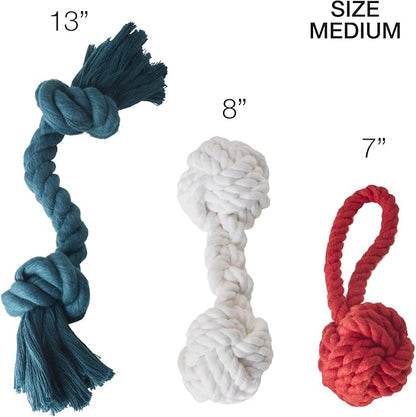 Pet Passion Brady The Rope Tug Toy 3-Pack Organic Cotton Dog Rope Pull Toys for All Pet Breeds, Holiday, One Size