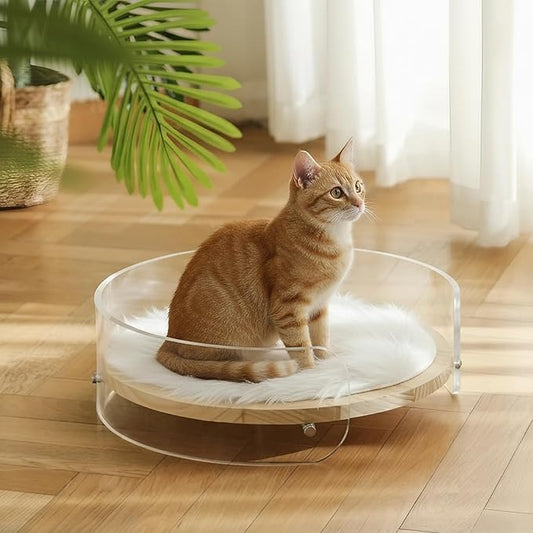 Modern Clear Acrylic Pet Bed ，cat beds for Indoor Cats，cat Bed - Contemporary pet Furniture, Comfortable pet Bed and Sofa for Small Dogs, Indoor pet Bed