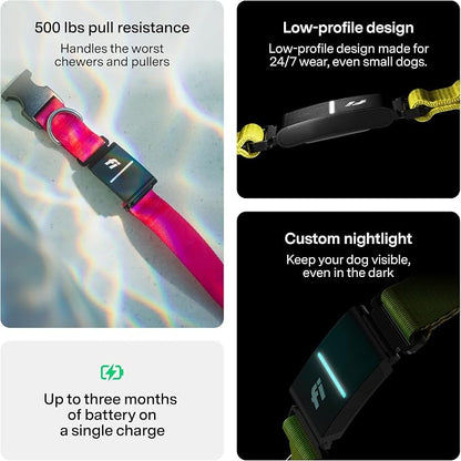 Fi Series 3+ GPS + Health Dog Collar, Blue, X-Large, 12-Month Membership | Smart GPS dog collar with live tracking, health & behavior, Escape Alerts, LED light. Waterproof and Apple Watch compatible.