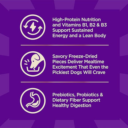 Wellness CORE+ Adult Dry Dog Food with Freeze Dried Pieces, Grain Free Kibble+, Natural, High Protein, Wild Game Duck, Lamb, Boar, and Rabbit Recipe, 4 lb Bag