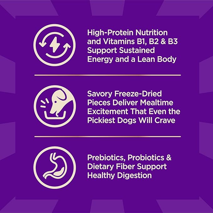 Wellness CORE+ Adult Dry Dog Food with Freeze Dried Pieces, Wholesome Grain Kibble+, Natural, High Protein, Chicken Free, Whitefish, Herring, and Salmon Recipe, 4 lb Bag