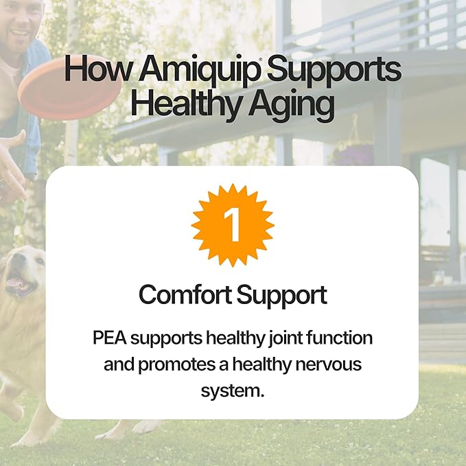 Amiquip Senior Dog Supplement – Joint Support, Cellular Vitality & Longevity for Healthy Aging – 90-Day Soft Chews with PQQ + Palmitoylethanolamide