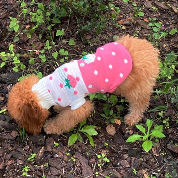 CHBORCHICEN Pet Dog Sweaters Classic Knitwear Turtleneck Winter Warm Puppy Clothing Cute Strawberry and Heart Doggie Sweater (Pink, Small)