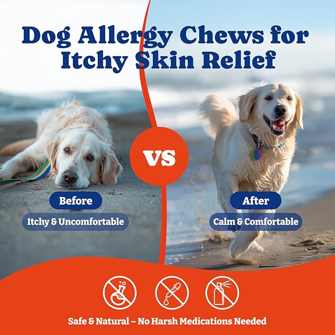 Dog Allergy Relief Chews – 70 Soft Chews, Duck & Pear Flavor - Immune Support & Itch Relief with Colostrum, Astragalus Root, 6-Strain Gut Health Blend