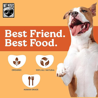 Wet Noses Organic Crunchy Dog Treats – All-Natural, Human-Grade, Non-GMO, Healthy Training & Delicious Snacks for Dogs, for All Dog Sizes & Breeds – Grain Free Pumpkin & Quinoa, 5lb (Single Pack)