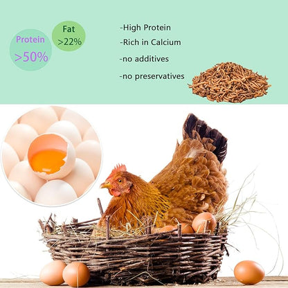 Dried Mealworms 2LB-High Protein Chicken Feed,More Protein,No Additives,Premium Organic Non-GMO,Rich in Protein Meal Worms for Chickens,Wild Birds,Laying Hens,Turkeys-Nutrient-Rich Mealworms