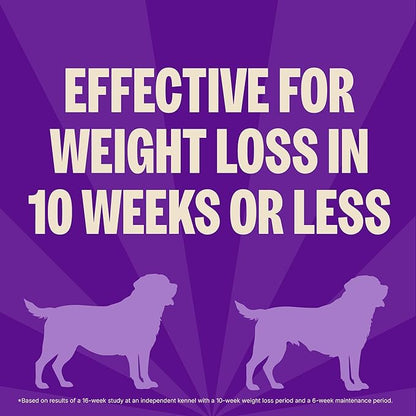 Wellness CORE Healthy Weight Adult Dry Dog Food, Grain Free Kibble, Natural, High Protein, Turkey and Chicken Recipe, 26 lb Bag