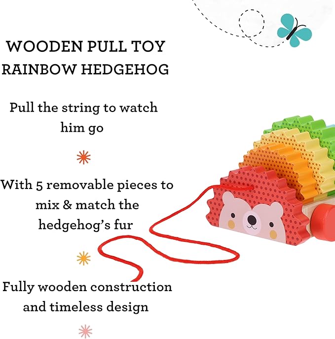 Petit Collage Rainbow Hedgehog Wooden Pull Toy