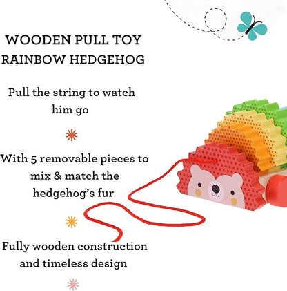 Petit Collage Rainbow Hedgehog Wooden Pull Toy