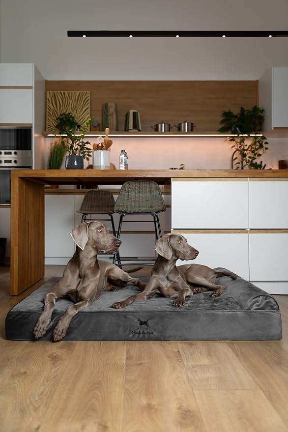 NOAH & PAW Giant Dog Bed XXL 55x45x9.5 Inch, Orthopedic Dog Beds, Eggshell Memory Foam Infused with Cooling Gel, Waterproof, Machine Washable, Includes Inner Cover (Velvet Collection)