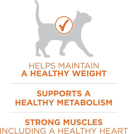 Purina ONE High Protein, Healthy Weight Plus Ideal Weight With Chicken Dry Cat Food - 3.5 lb. Bag