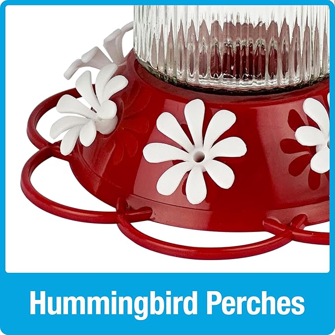 Nature's Way Hanging Glass Hummingbird Feeder for Outdoor Décor, 28 Ounce Capacity Nectar Feeder, Ant Moat, 7 Easy to Clean Flexible Ports, Red