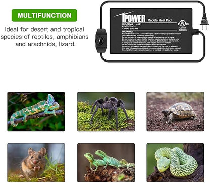 iPower 4 by 7 Inch Reptile Heating Pad with Temperature Adjustable Controller Knob, Under Tank Warmer Terrarium Heat Mat for Reptiles and Amphibians