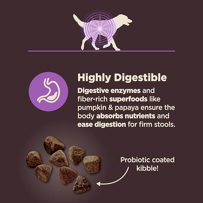Wellness CORE Digestive Health Age Advantage Senior Dry Dog Food, Wholesome Grain Kibble, Sensitive Stomach, Natural, High Protein, Chicken and Brown Rice Recipe, 24 lb Bag