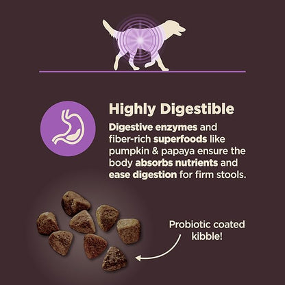 Wellness CORE Digestive Health Age Advantage Senior Dry Dog Food, Wholesome Grain Kibble, Sensitive Stomach, Natural, High Protein, Chicken and Brown Rice Recipe, 24 lb Bag