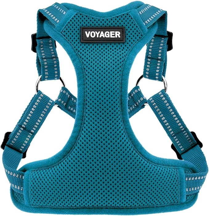 Best Pet Supplies Voyager Adjustable Step-in Flex Breathable Mesh Dog Harness for Small Medium Large Dogs (Turquoise), S