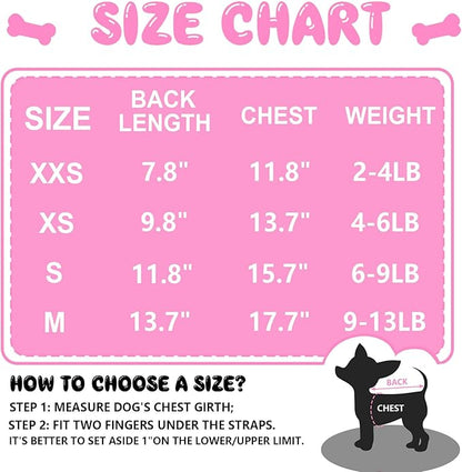 4 Pieces Dog Clothes for Small Dogs Girl Summer Soft Puppy Clothes Cute Chihuahua Teacup Female Dog Shirts Breathable Pet Clothing Pink Girl (Medium)