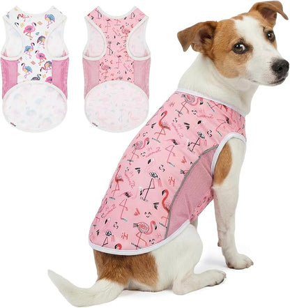 UPF 50+ Sun Protection Dog T-Shirt, 2 Pack Lightweight Sleeveless Dog Vest for Small Medium Dogs Girl – Reflective Strips, Quick-Dry Pet Apparel, Sports Fan Shirt P23ST00511XL