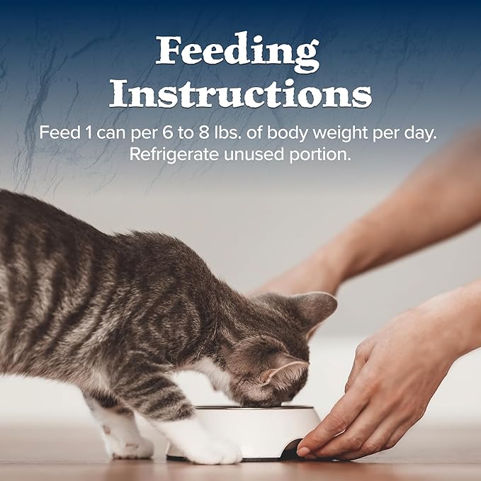 Blue Buffalo Wilderness High-Protein Grain-Free Wet Food for Adult Cats 7+,Chicken Recipe,5.5-oz.,24-Count,(Pack of 24)