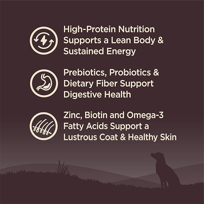 Wellness CORE Small Breed Adult Dry Dog Food, Grain Free Kibble, Natural, High Protein, Turkey and Chicken Recipe, 4 lb Bag