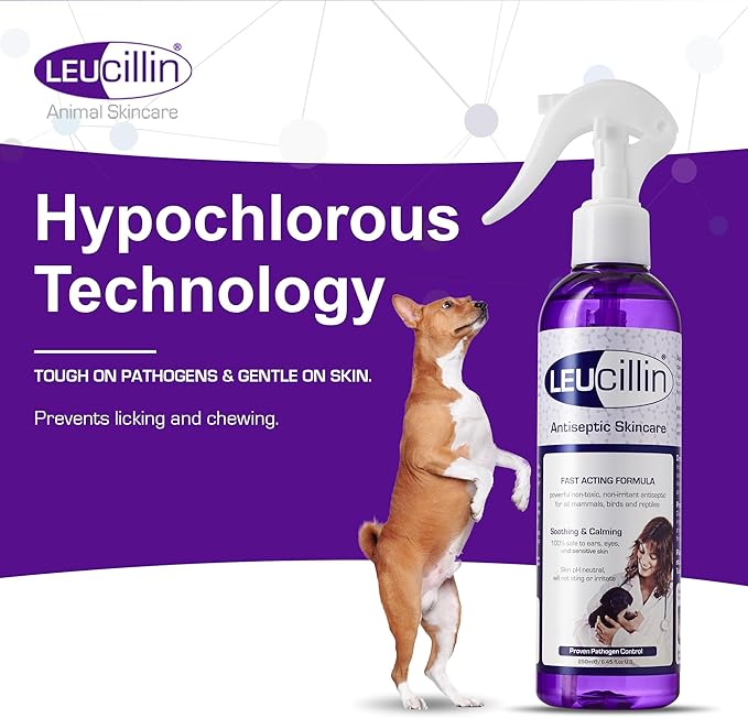 Leucillin Natural Antiseptic Dropper for Dogs, Soothes Itchy Skin and Promotes Healing, Effective Treatment for Dogs, Wound and Skin Care Solution for Pets, First Aid Kit Essential - 50ml