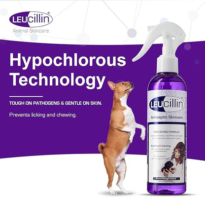 Leucillin Natural Antiseptic Dropper for Dogs, Soothes Itchy Skin and Promotes Healing, Effective Treatment for Dogs, Wound and Skin Care Solution for Pets, First Aid Kit Essential - 50ml