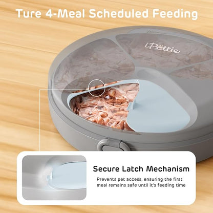 iPettie Zharko Four Meals Automatic Wet Food Feeder - True 4 Meal Design with Locking Lid, Smart Cat Timer Automatic Feeder for Wet Cat Food, Two Ice Packs, Easy to Clean & Portable Design