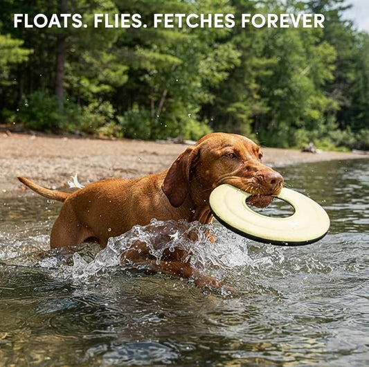OllyDog Mini Super Flyer, Dog Flying Disc – Floating Fetch Toy, Soft on Teeth, Eco-Friendly Recycled Material, Lightweight, for Small & Medium Dogs (Sol, 9")
