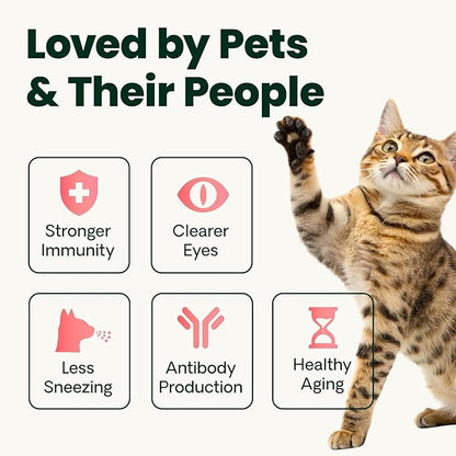VetriScience Ultimate Strength Lysine Immunity Health Powder for Cats & Kittens, Supplement for Allergy & Nasal Support, Sneezing, Runny Nose & Watery Eyes, Chicken & Cheese Flavor, 60 Count -New Look