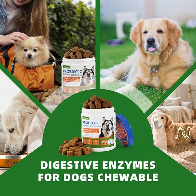 Probiotic Soft Chews for Dogs, Daily Probiotic for Dogs, Dog Probiotics with Digestive Enzymes & Prebiotics, Gut Health & Sensitive Stomach Support（TESTER-15 Ct）