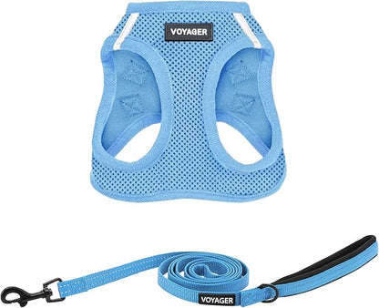 Best Pet Supplies Voyager Step-in Air All Weather Mesh Harness and Reflective Dog 5ft Leash Combo with Neoprene Handle, for Small, Medium and Large Breed Puppies - Set (Baby Blue), Large