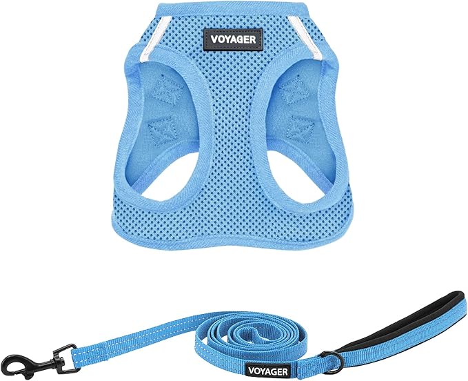 Best Pet Supplies Voyager Step-in Air All Weather Mesh Harness and Reflective Dog 5ft Leash Combo with Neoprene Handle, for Small, Medium and Large Breed Puppies - Set (Baby Blue), XX-Small