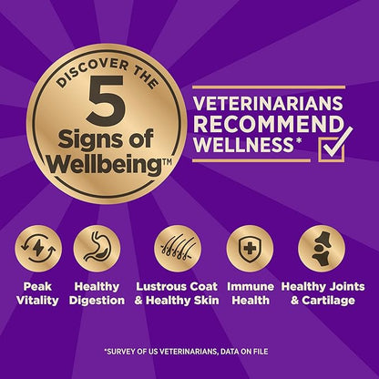 Wellness CORE+ Healthy Weight Adult Dry Dog Food with Freeze Dried Pieces, Grain Free Kibble+, Natural, High Protein, Turkey and Chicken Recipe, 18 lb Bag