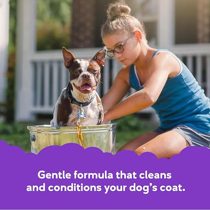 Buddy Grooming Wash 2 in 1 Dog Shampoo, Lavender & Mint, 16 oz. Bottle