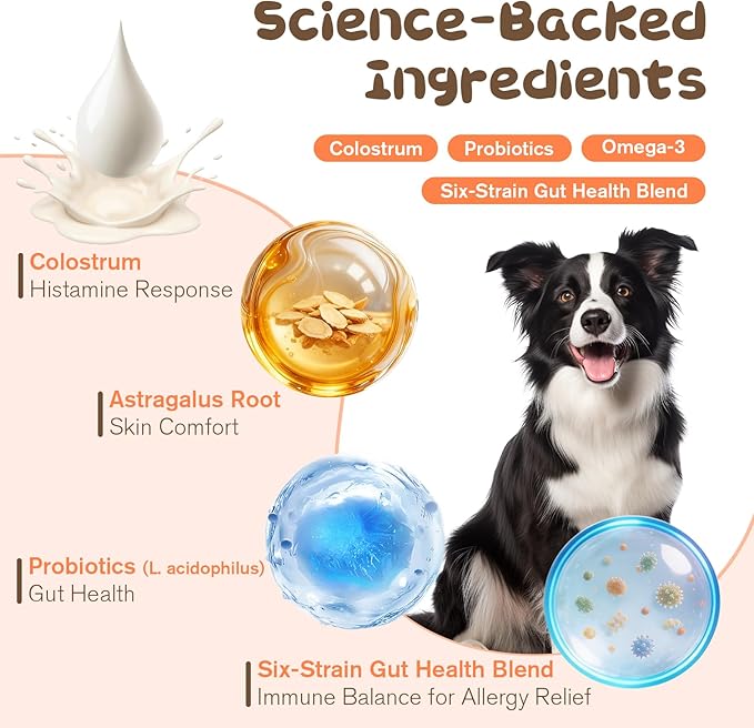 Dog Allergy Chews,Allergy & Immune Support Chews for Dogs, Dog is Human multivitamin Itch Relief, Ear Comfort, Probiotic Supplement and Digestive Health, Chicken Flavor, 120 Count