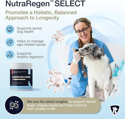 Nutraregen Digestive Senior Dog Probiotic Powder 30 Scoops | Beef Flavored Dog Probiotics for Digestive Health, Supports Gut Health, Scratching, Itchy & Dry Skin, Allergies 2.1 Oz | 7 Bn CFU