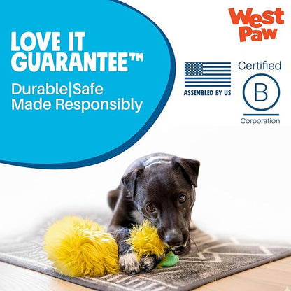 WEST PAW Rowdies Bjorn Durable Plush Dog Toy with Reinforced Seams Chew Resistant Design and Interactive Squeaker for Playtime Indoors or Outdoors Bundle for Dogs Who Deserve the Best - Melon