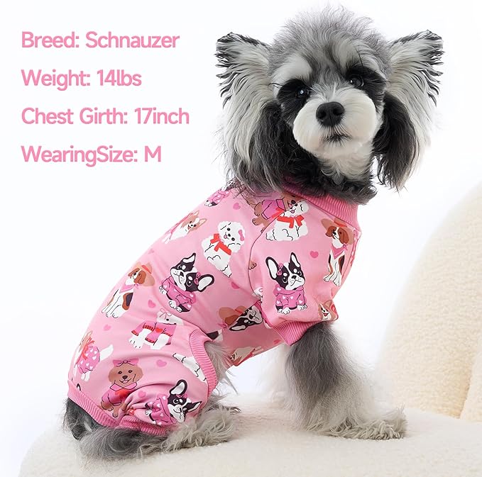XPUDAC 4 Pack Dog Pajamas Cute Soft Dog Clothes for Small Medium Dogs Boy Girl Stretchy Pjs Jammies Outfit Puppy Onesies, X-Small