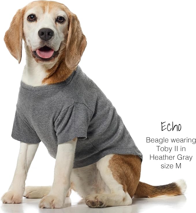 Pet Passion Toby II - The Perfect Tee, 3 Pack Short Sleeve Pet T-Shirt 100% Organic Cotton Tees Clothes for Small, Medium, Large Dogs, Gray Ombre, Small (10-25 lbs)