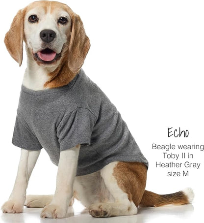 Pet Passion Toby II - The Perfect Tee, 3 Pack Short Sleeve Pet T-Shirt 100% Organic Cotton Tees Clothes for Small, Medium, Large Dogs, Gray Ombre, XX-Small (4-7 lbs)