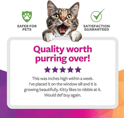 SmartyKat Sweet Greens Organic Oat Grass All-in-One Cat Grass Grow Kit, Easy-to-Grow to Support Digestion & Hairball Reduction