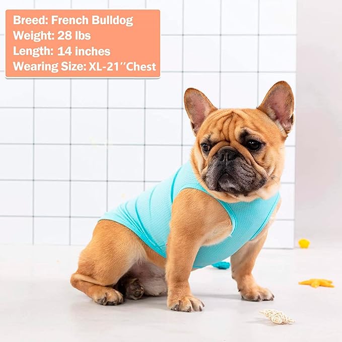 KYEESE 2Pack Dog Shirt, Lightweight Sun Protection Dog T Shirts for Small Medium Dogs Boy Girl, Breathable Mesh Tank Top Sleeveless Pet Reflective Vest, Soft Summer Dogs Clothes, Flamingo+Blue, XL