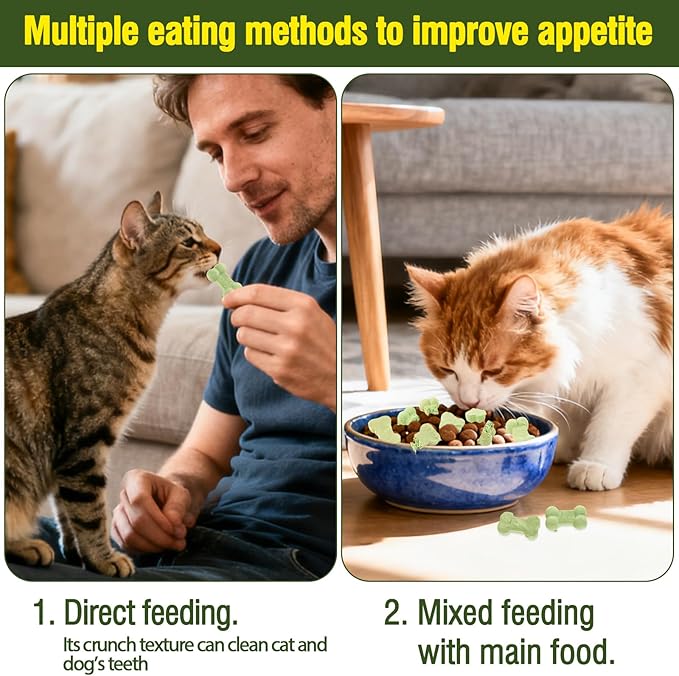Freeze-Dried Salmon Cat Treats – Natural Healthy Crunchy Snacks for All Cat Breeds